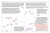 van03 with Cook_thumb.gif